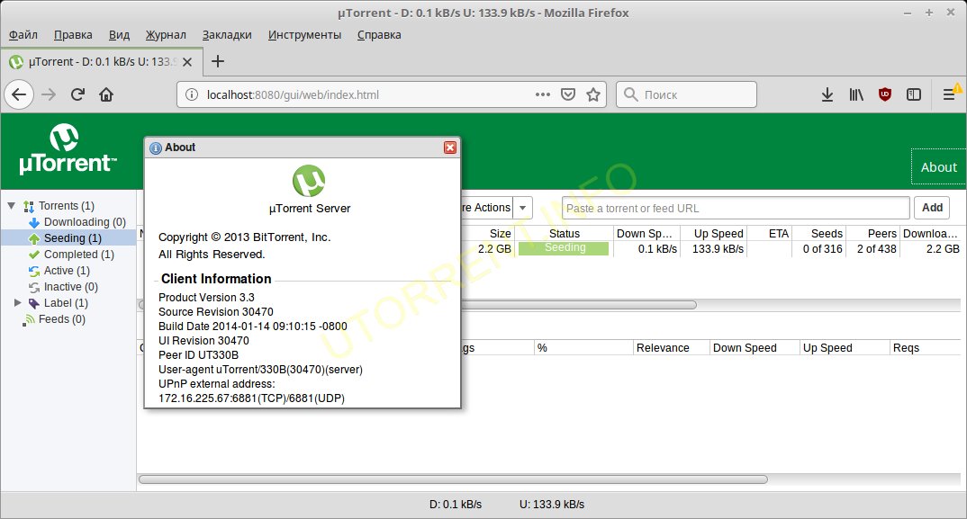 Utorrent bit